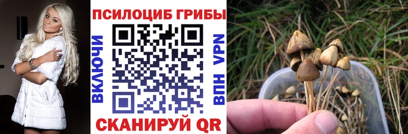 Псилоцибиновые грибы мухоморы Яровое